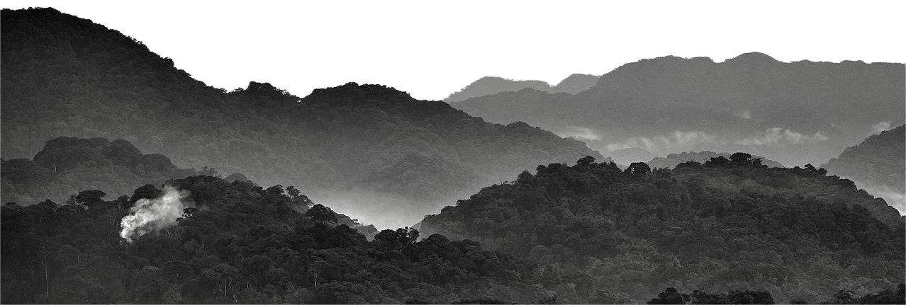 30CCD9AE-DF1D-4277-9B31-42AAC3B48104-1